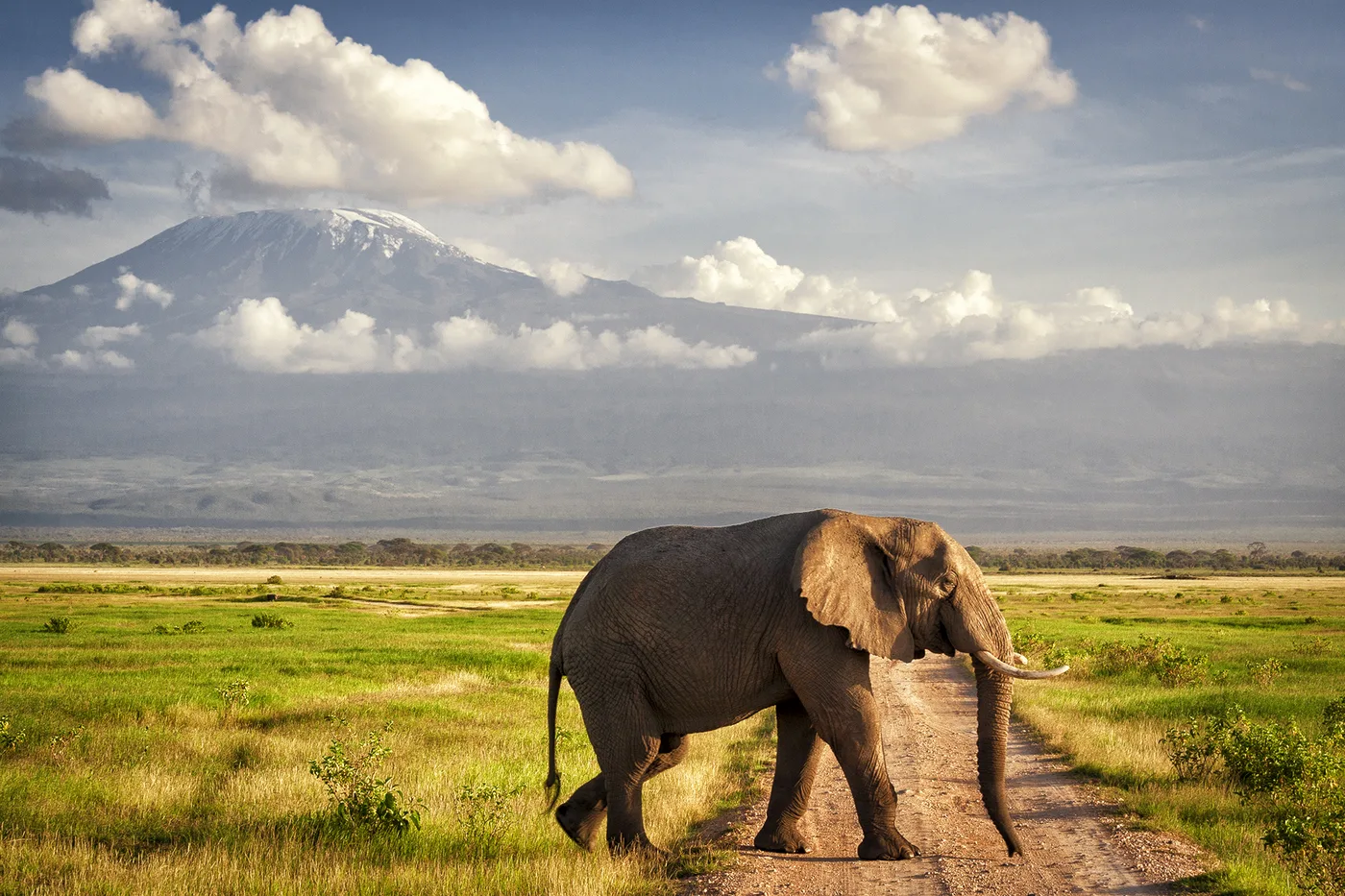 Africa